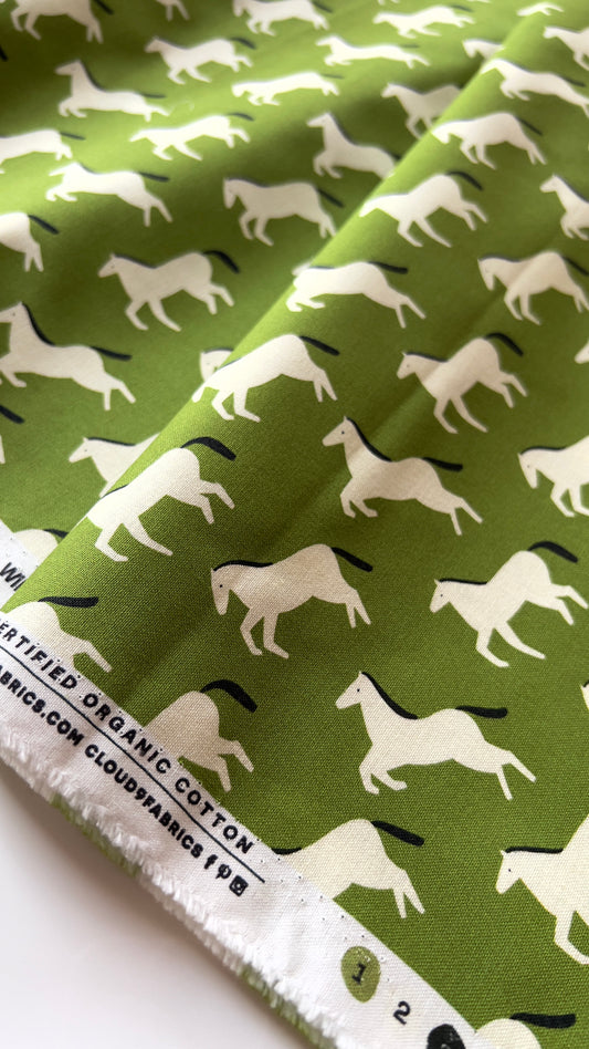 Wild Horses - Through The Window -Di Ujdi - Cloud 9 Fabrics - Poplin