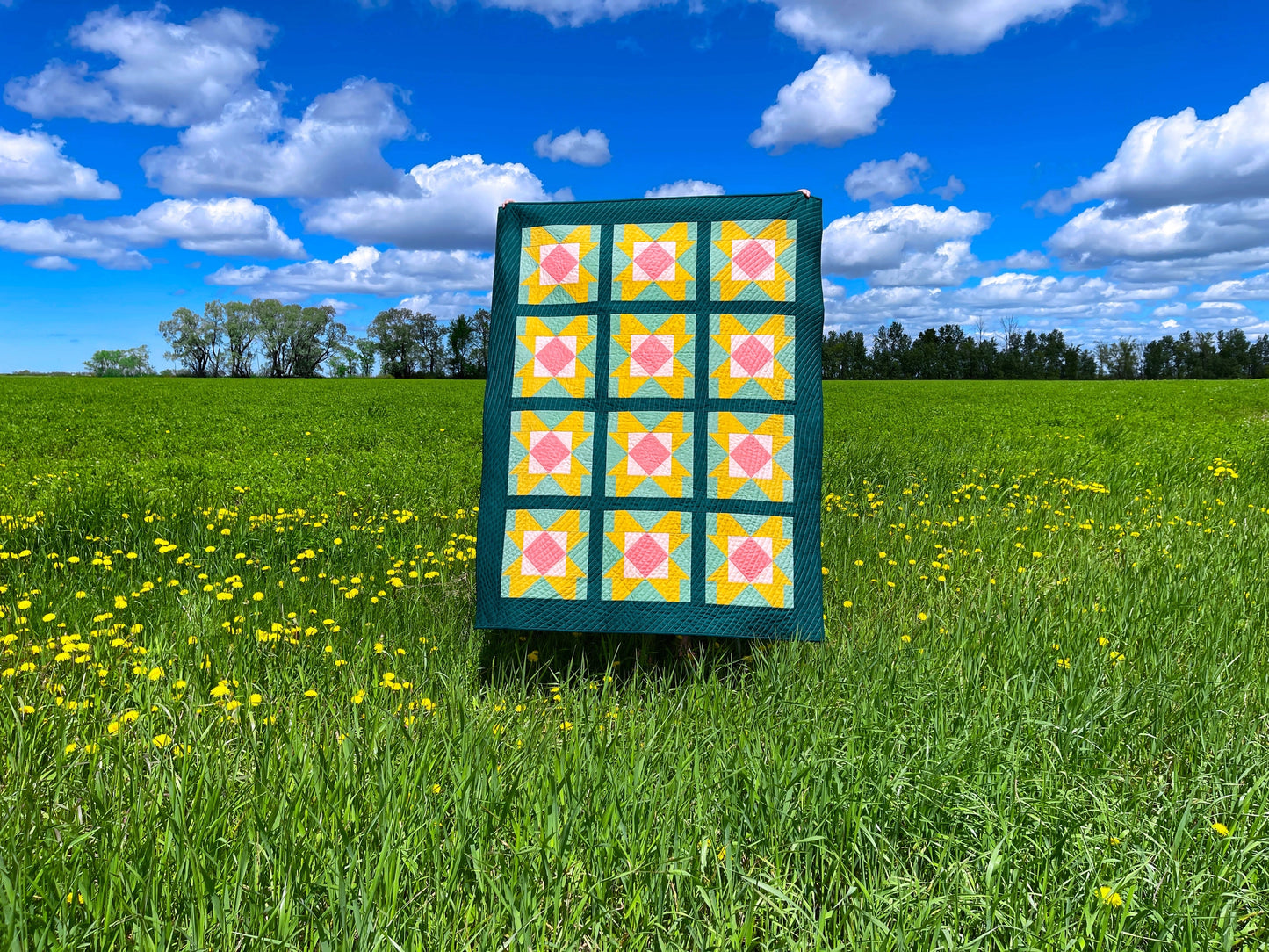 Prairie Rose Paper Pattern - The Blanket Statement Quilt Co.