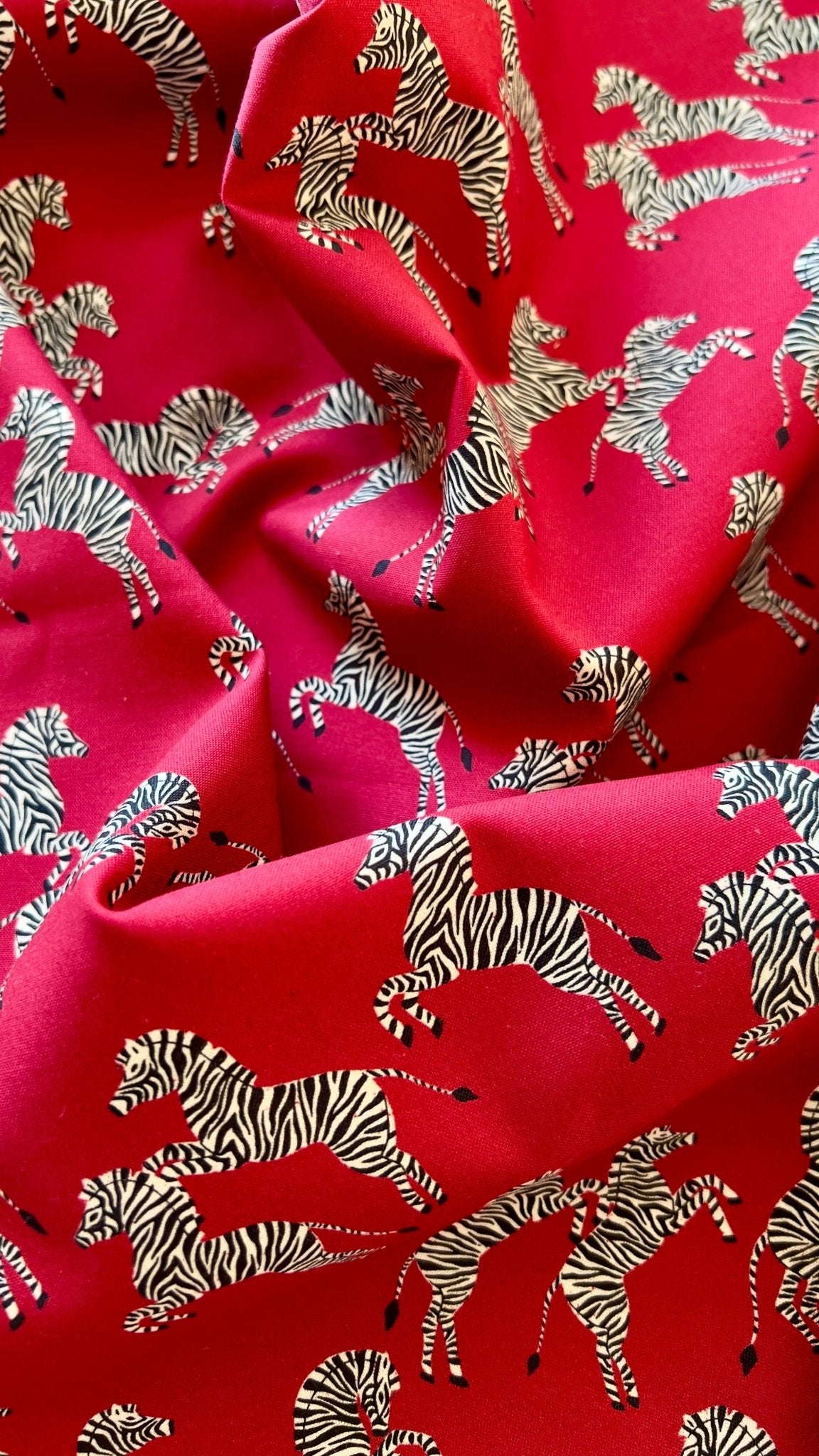 Just Zebras - Zebras - Maria Galybina - Cloud 9 Fabrics - Poplin - Simplifi Fabric