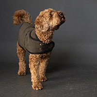 The Barka Dog Coat PDF Pattern - Merchant & Mills - Simplifi Fabric