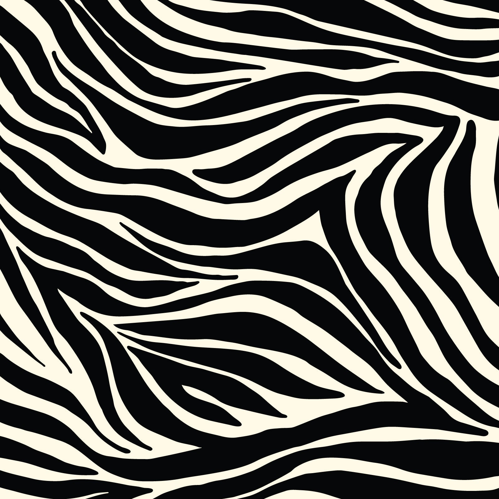 Zebra Stripes Black - Zebras - Maria Galybina - Cloud 9 Fabrics - Poplin - Simplifi Fabric